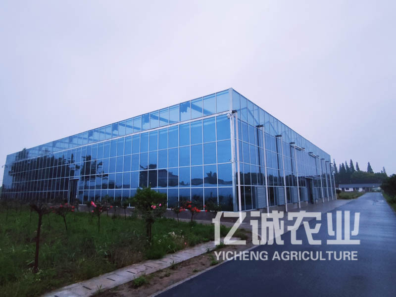 智能化玻璃溫室大棚建設(shè)廠(chǎng)家：讓農(nóng)業(yè)生產(chǎn)更科技化、高效化的選擇