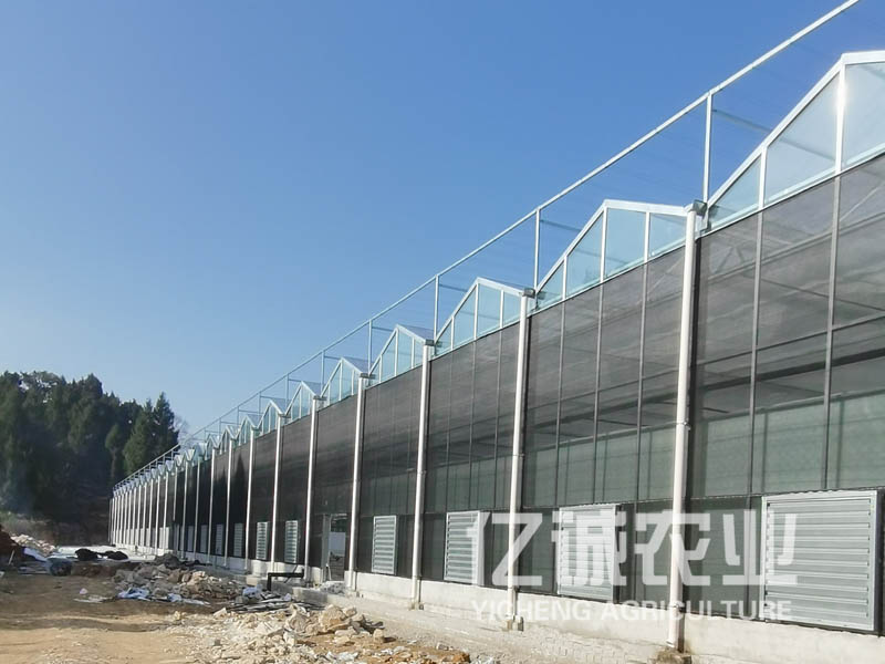 雙層薄膜連棟溫室大棚造價(jià)高不高？有哪些建造方式？