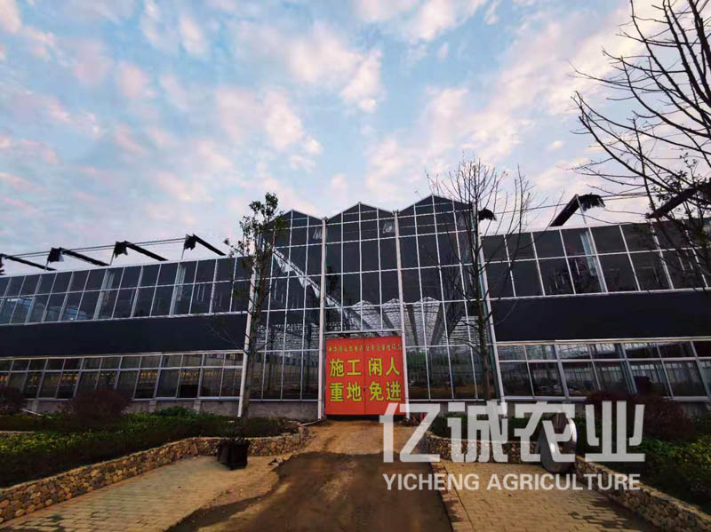 閩南智能溫室大棚 閩南智能溫室大棚