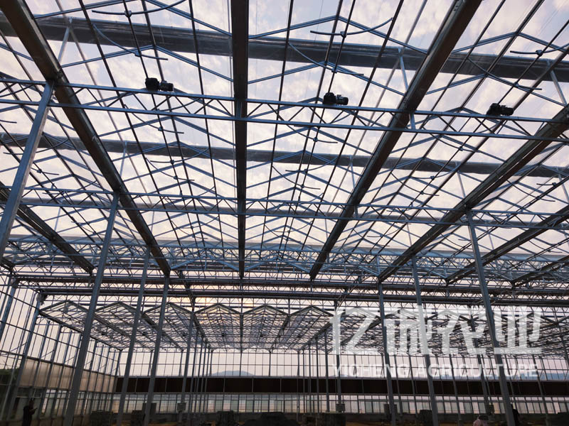 閩南智能溫室大棚 閩南智能溫室大棚