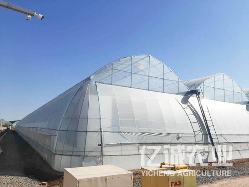 薄膜連棟溫室工程 薄膜連棟溫室工程