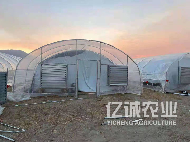 溫室大棚建造廠家 溫室大棚建造廠家