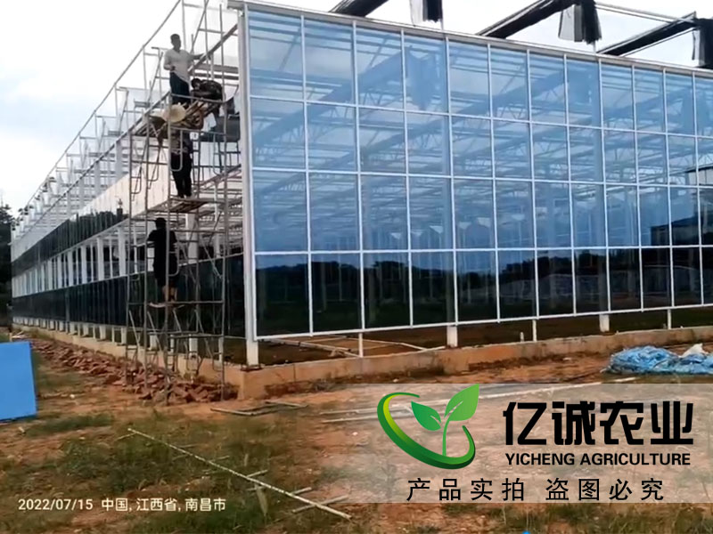 南昌玻璃溫室大棚 南昌玻璃溫室大棚
