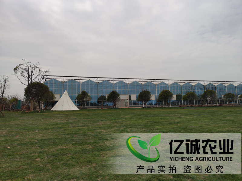 南昌溫室大棚 南昌溫室大棚