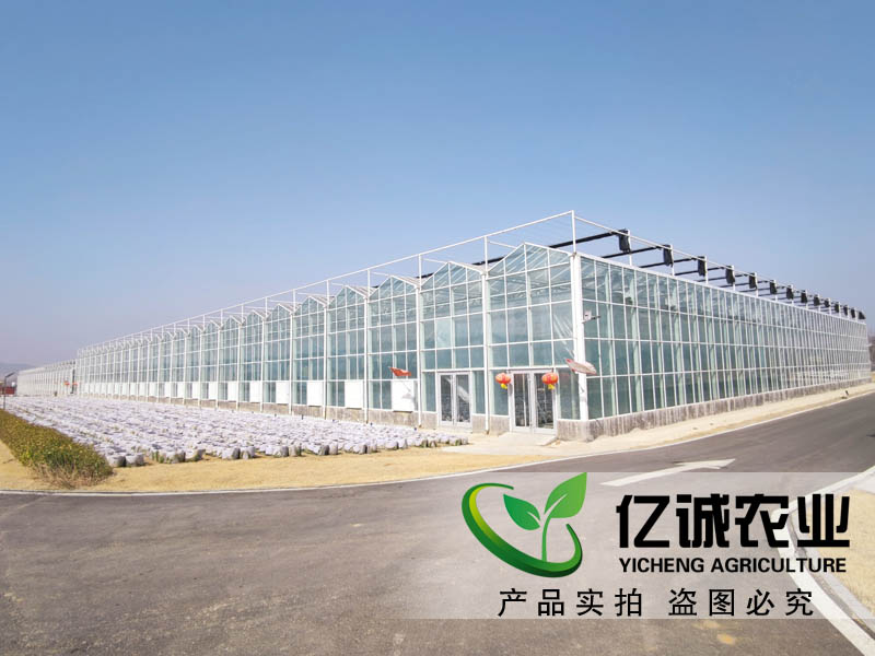 連棟玻璃溫室大棚 連棟玻璃溫室大棚