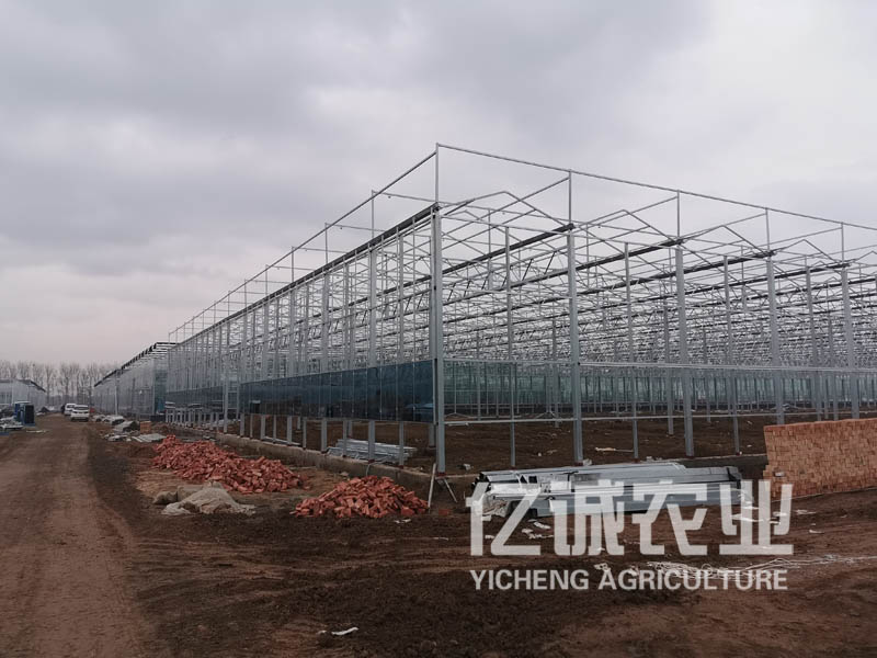 玻璃溫室大棚 玻璃溫室大棚