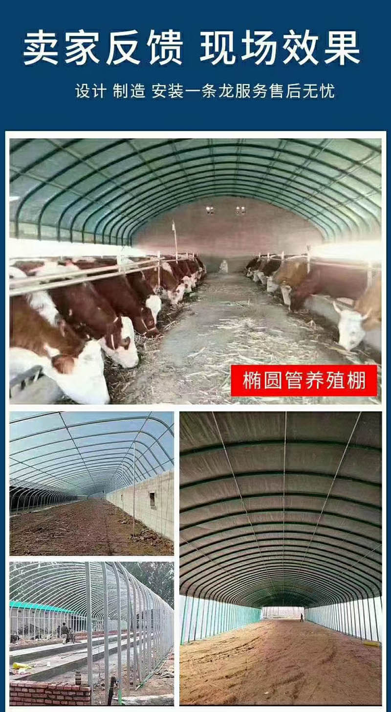 橢圓管養(yǎng)殖大棚 橢圓管養(yǎng)殖大棚