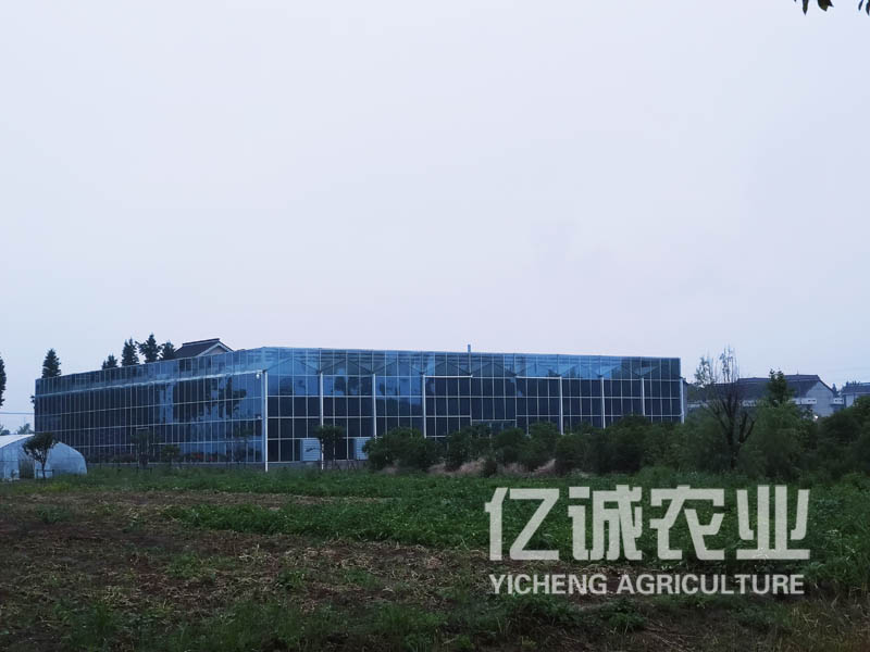 玻璃智能溫室大棚造價(jià) 玻璃智能溫室大棚造價(jià)