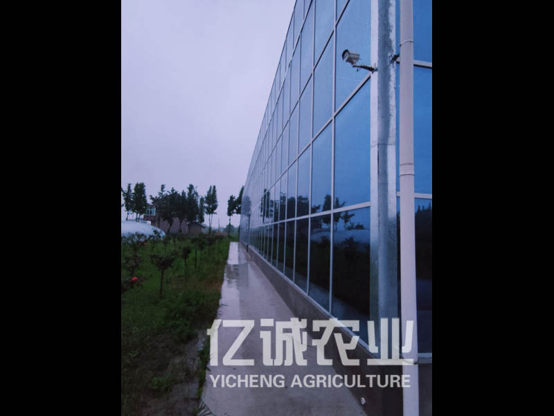玻璃智能溫室大棚造價(jià) 玻璃智能溫室大棚造價(jià)