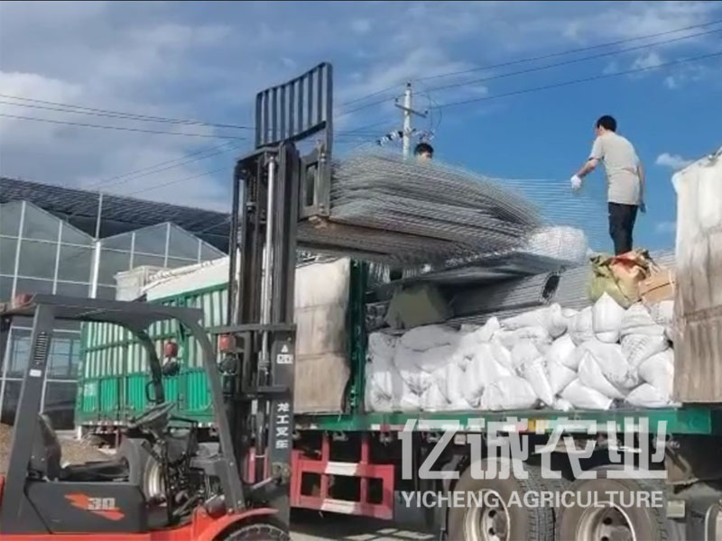 蔬菜溫室大棚廠家 蔬菜溫室大棚廠家