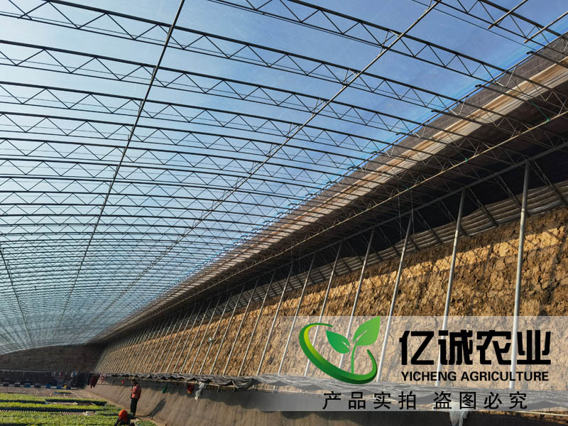 大跨度日光溫室建設 大跨度日光溫室建設
