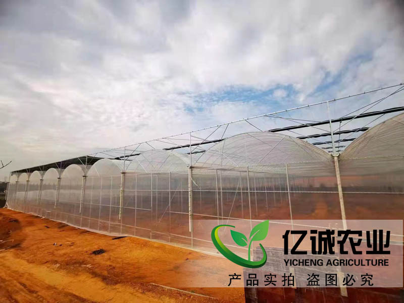 江西薄膜連棟溫室 江西薄膜連棟溫室