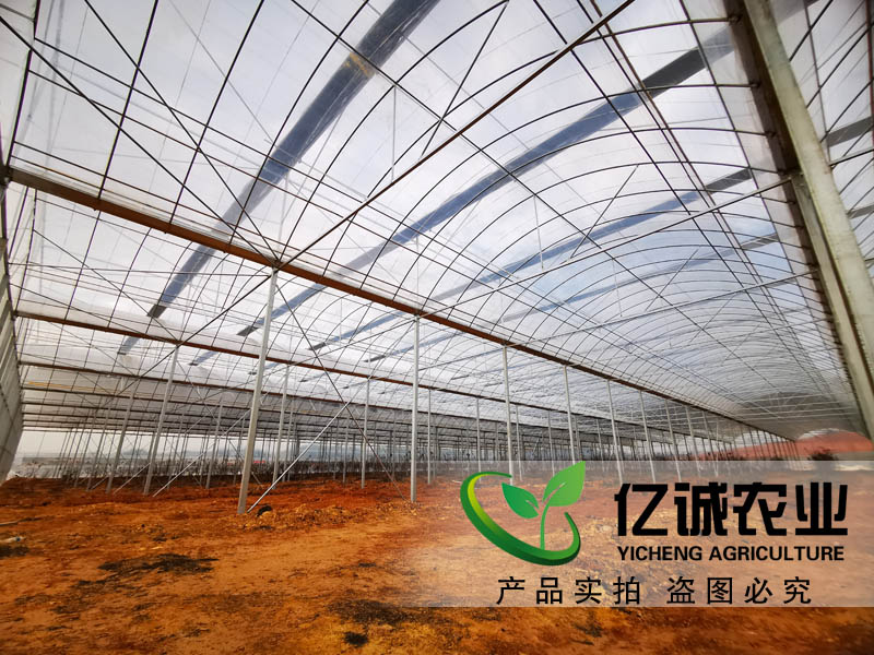 江西薄膜連棟溫室 江西薄膜連棟溫室