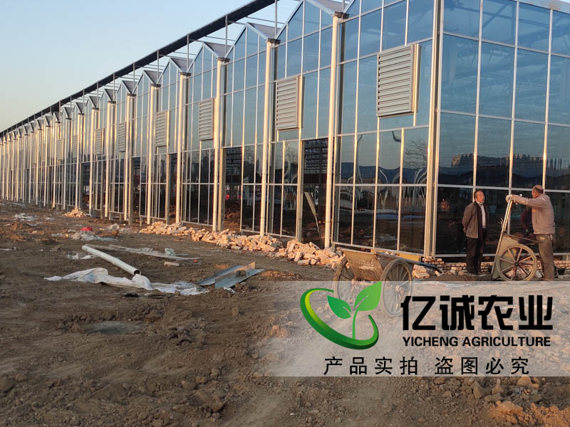 玻璃溫室大棚建設(shè) 玻璃溫室大棚建設(shè)