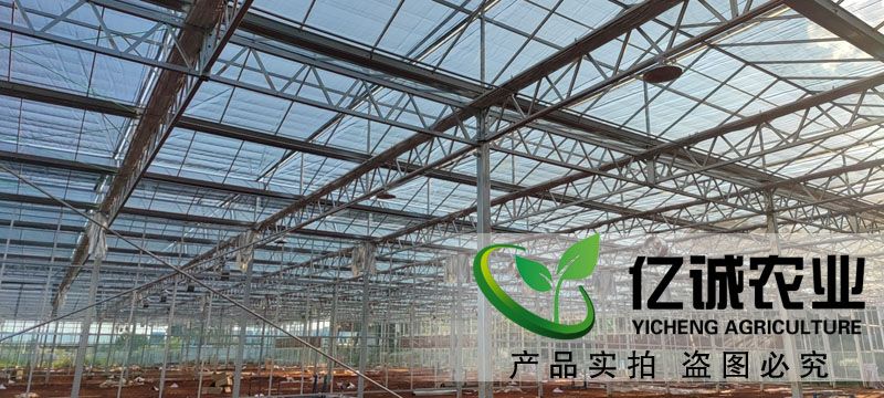 尖頂紋絡(luò)玻璃溫室大棚 尖頂紋絡(luò)玻璃溫室大棚
